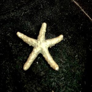 Sterling cast starfish pin/pendant